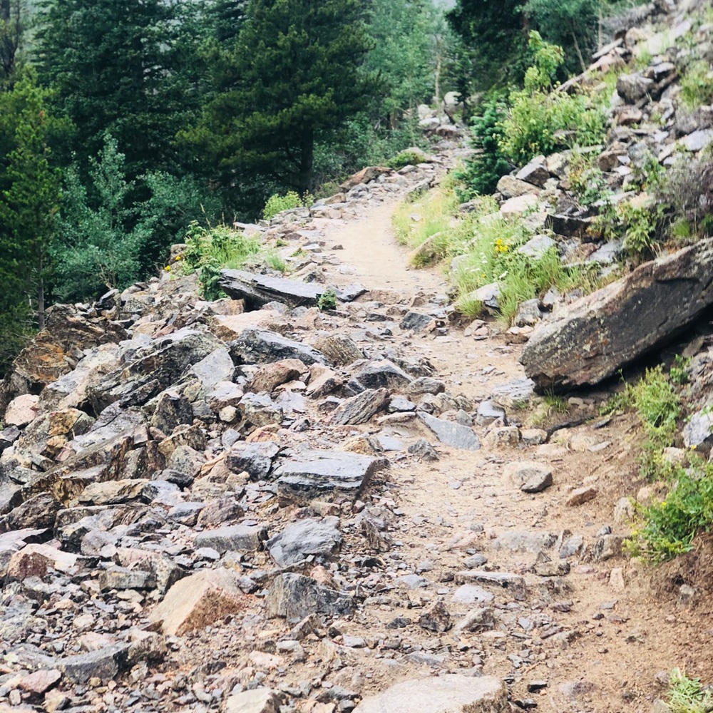 Meet your Posher, Tessa